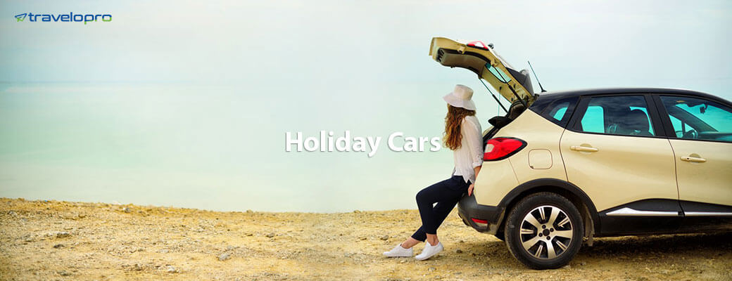 Car Rental System Software